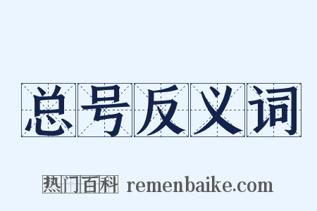 总号反义词是什么意思的图片